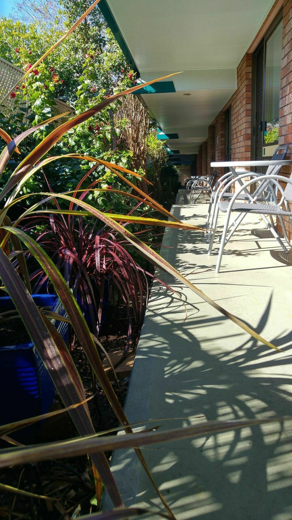 Crescent Motel Taree Εξωτερικό φωτογραφία